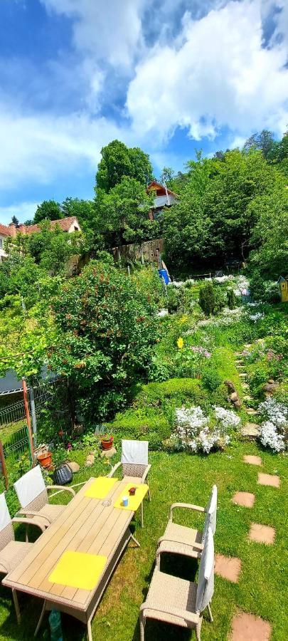 Casa Sperantei Apartment Sighisoara Luaran gambar