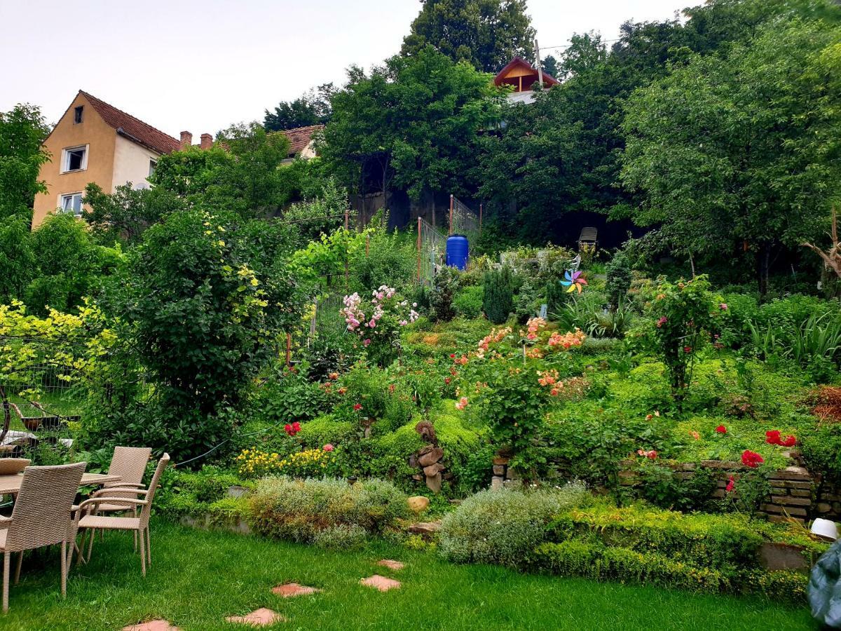 Casa Sperantei Apartment Sighisoara Luaran gambar